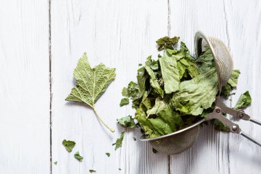 Çay süzgecinde kurutulmuş frenk üzümü yaprakları. Alternatif bitkisel ilaç. Sağlıklı yaşam tarzı kavramı. Açık ahşap bir masada organik, doğal bitki çayı ile kompozisyonu.