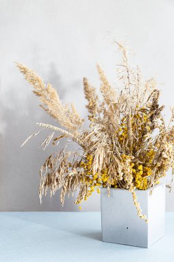 Beton bir geometrik vazoda otlar. Hafif arka planda kuru alan dikenleri olan minimum bir yaşam. Modern, çevre dostu, rahat bir iç mekanın dekoru..