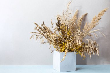 Beton bir geometrik vazoda otlar. Hafif arka planda kuru alan dikenleri olan minimum bir yaşam. Modern, çevre dostu, rahat bir iç mekanın dekoru..