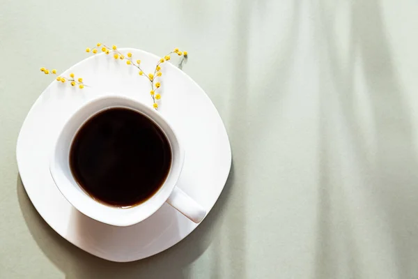 Minimalistic spring still life. White cup of black coffee, long shadows on a pastel green background. Copy space.