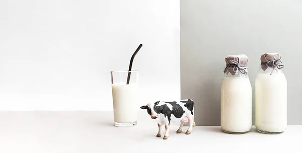 Bottles Fresh Milk Figurine Cow Glass Milk Light Gray Background — Stock Photo, Image