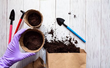 Eldiven giymiş bir kadın elinde bir kazan dolusu fidan tutuyor. Tohum ekmek için toprak, tahta beyaz bir masa üzerinde tohum bitkileri. Bahçe sezonu için hazırlıklar.