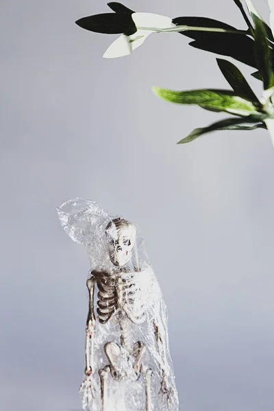 Emberi Csontváz Kreatív Összetétele Átlátszó Műanyag Celofán Zsákban Zéró Hulladék — Stock Fotó