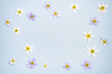 Çiçeklerin moda yaz şablonu. Modern çiçek, yaz dönemi geçmişi. Mavi arka planda çok renkli kır çiçekleri. 