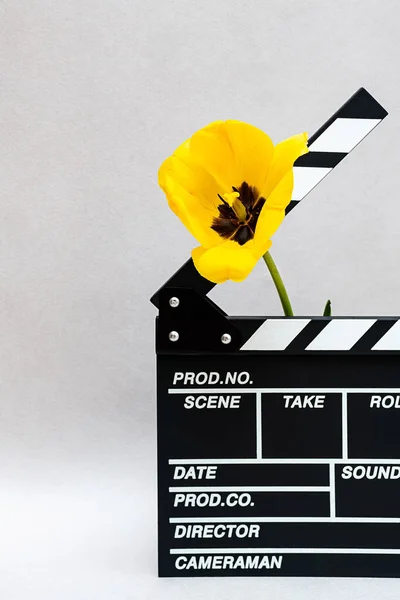 Clapboard from movie with yellow tulip. Minimal still life of clapper board for making video cinema and summer flowers.