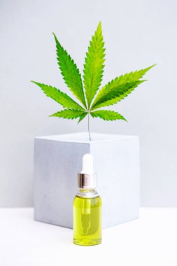 Cosmetics CBD oil and leaves of cannabis. Modern still life of glass bottles with Hemp oil, THC tincture, hemp leaves and cube geometric shape 