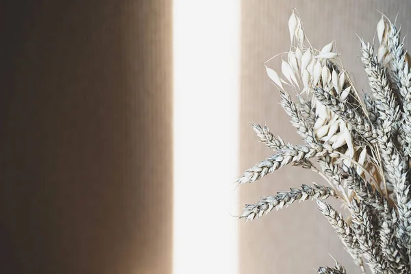 Buğday Buketi. Modaya uygun kuru ot. Kurumuş çivili minimalist hayat. İç tasarımın modern dekoru.