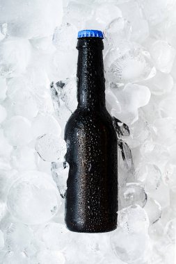 Bottle of chilled beer on ice cubes. Refreshing craft beer.