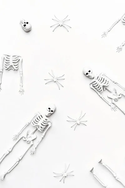 Weiße Skelette Und Spinnen Auf Weißem Hintergrund Minimalismus Stil Flach — Stockfoto