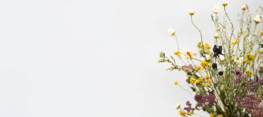 Kuru çiçekler, yakın çekim, seçici odaklanma. Arka planda kurumuş tarla çiçekleri var. Metin veya reklam için yer, pankart boyutu.