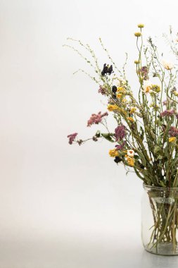 Cam kavanozda kurumuş çiçekler, seçici bir odak noktası. Işık arkaplanında fotokopi alanı ile kurumuş tarla çiçeklerinin minimum ömrü.