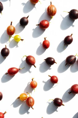 Böğürtlen. Taze, olgun bektaşi üzümleri sert ışıkta ilginç gölgeleri olan, beyaz bir gölgede izole edilmiş. Düz yatış, üst görünüm.