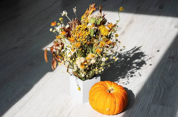 Pumpkin and dried flowers in concrete vase, autumn composition in morning sunlight. Minimal still life with interesting shadows. Halloween or Thanksgiving day concept.