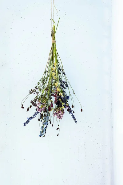 Dried flowers hanging against blue wall. Decorative grass and flowers in bouquets for home decor.