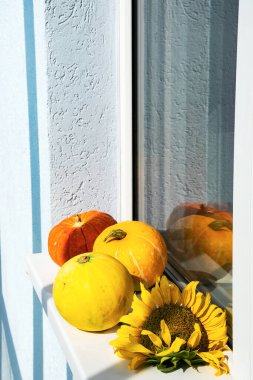 Pencere kenarında gölgeli balkabakları ve ayçiçekleri. Sonbahar ve hasat kavramı.