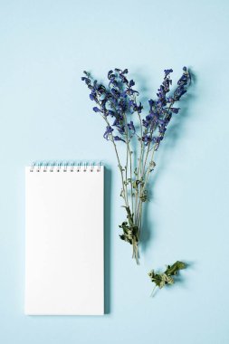 Boş defter, kurumuş çiçekler, kırtasiye malzemesi. Beyaz sarmal çizim defterinin bir kopyası..