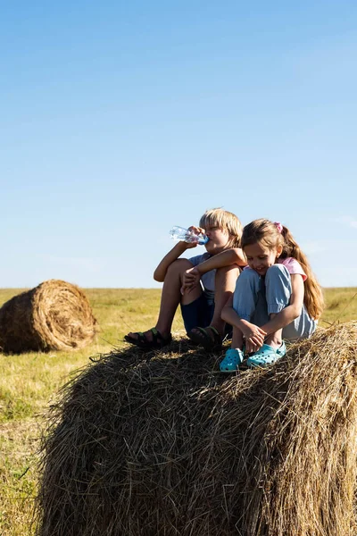 Ragazza Ragazzo Divertono Pagliaio Estate Campagna Bambini Carini Sul Campo — Foto Stock