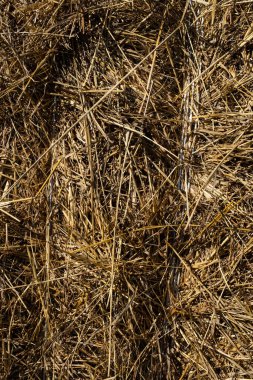 Straw Bale, Yakın çekim. Saman Dokusu Arkaplanı.