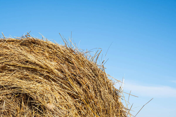 Straw bale against blue sky, close up. Agriculture or harvesting concept.