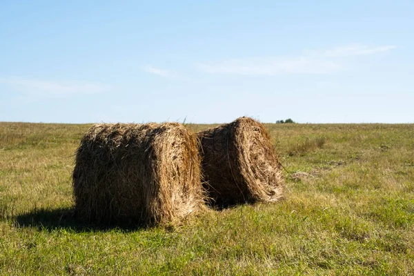 Bail Fieno Raccolta Nel Paesaggio Campo Balle Rotonde Paglia Nei — Foto Stock