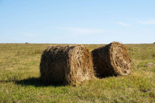 Bail Hooi Verzamelen Het Veld Landschap Ronde Strobalen Geoogste Velden — Stockfoto