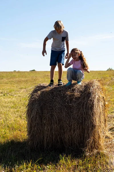 건초더미에서 여름에 시골에서 현장에서 애들을 귀엽게 시절의 — 스톡 사진