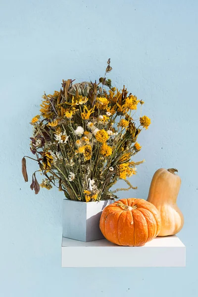 Sonbahar Durgun Balkabakları Kurumuş Çiçek Buketi Modern Sonbahar Konsepti — Stok fotoğraf