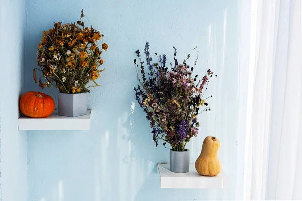 Sonbahar Hala Hayattır Balkabakları Kurumuş Çiçek Buketi Beton Vazoda Minimalizm — Stok fotoğraf