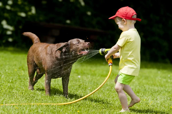 Çocuk köpek su mutlu oyun 