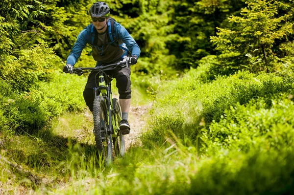 Passeio de montanha de bicicleta Enduro — Fotografia de Stock