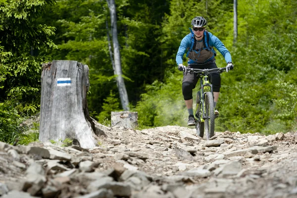 Mountain bike freeride ed Enduro — Foto Stock