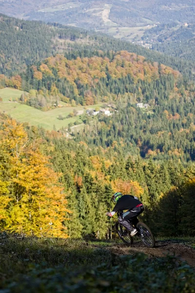 Mountainbiker フォレストのバイクは下り坂 — ストック写真