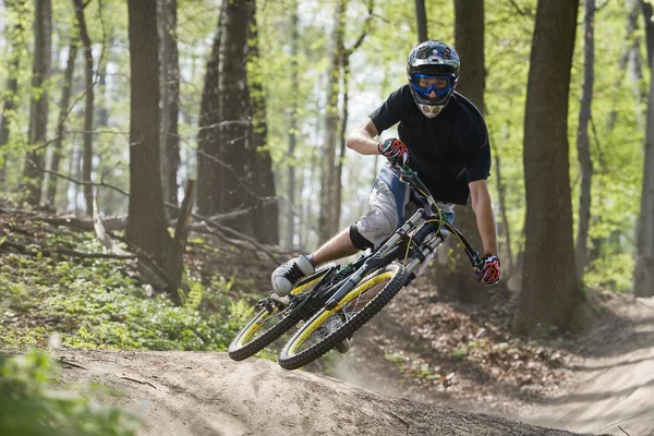 Mountainbiker 숲 자전거 내리막 점프 — 스톡 사진