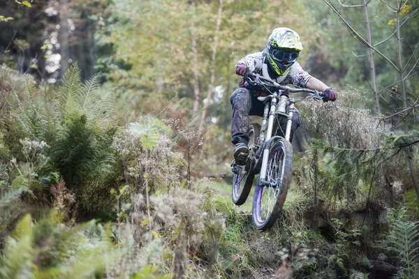 Mountainbiker 森自転車ダウンヒル ジャンプ — ストック写真