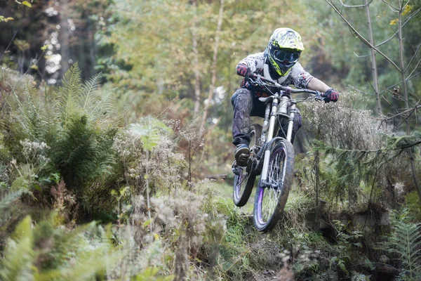 Mountainbiker 숲 자전거 내리막 점프 — 스톡 사진