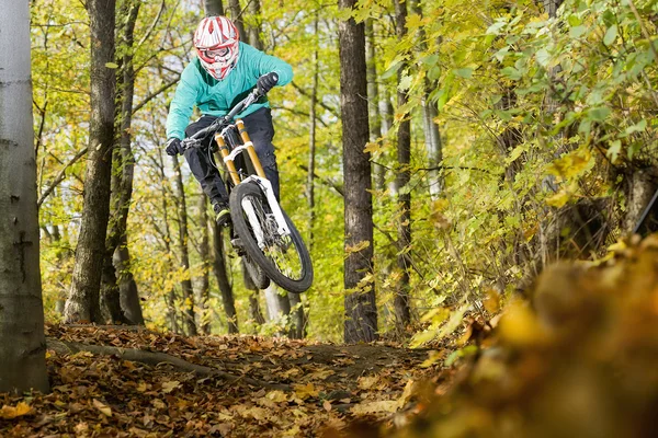 Mountain Bike Foresta del motociclista in discesa autunno — Foto Stock