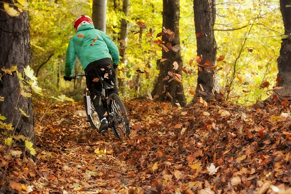 Mountain Bike Biker Forest afdaling herfst — Stockfoto