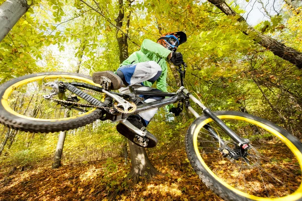 Mountain Bike Foresta del motociclista in discesa autunno — Foto Stock