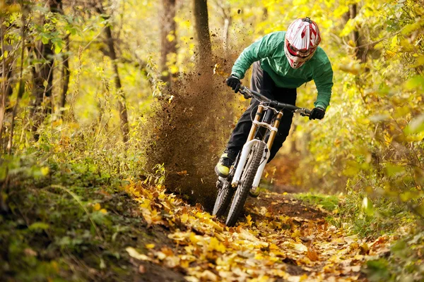 Mountain Bike Biker Floresta Downhill Outono — Fotografia de Stock
