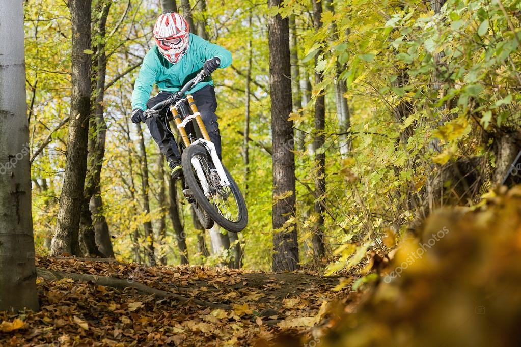 Mountain Bike Biker Forest Downhill Autumn — Stock Photo © KopoPhoto