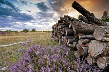 Ahşap kıyılmış Moorland günbatımı