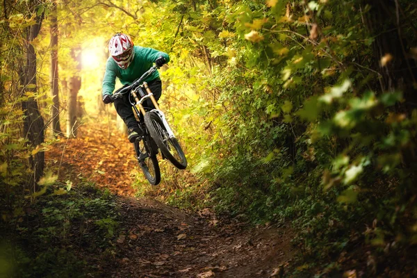 Mountain Bike Foresta del motociclista in discesa autunno — Foto Stock