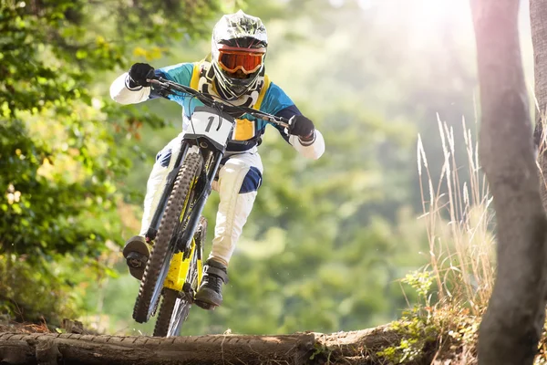 Downhill fiets Forest — Stockfoto