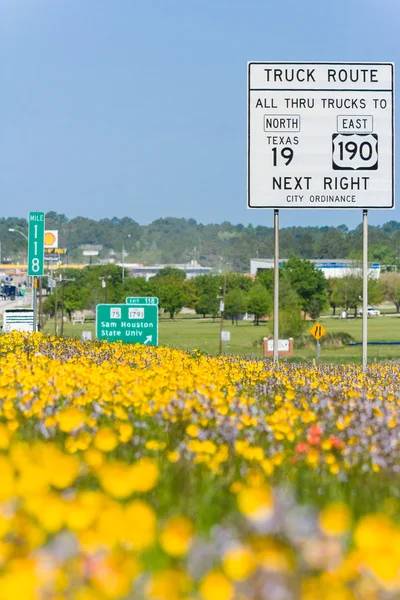 Dallas, TX / USA - omkring april 2015: Varm luft og forårsblomster udenfor motorvej 45 i Texas - Stock-foto