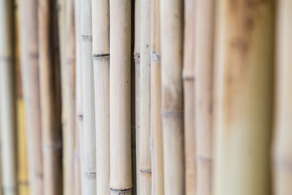 Bamboo sticks are sold and used in construction across  Asia