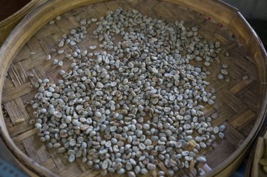 Luwak kahve üretilen ve satılan Bali, Endonezya gibi