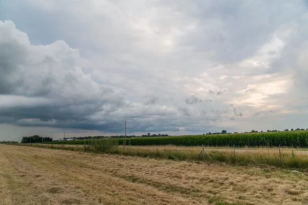 Rural view in Midwest with clouds and  sunset — Stock Photo, Image