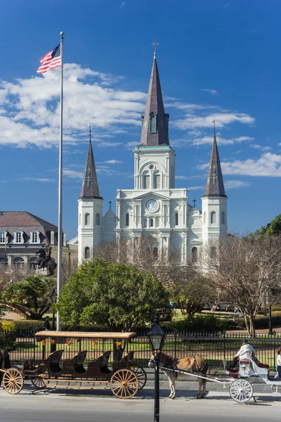 St. Louis Katedrali ve Jackson Square Fransız Mahallesi, New Orleans, Louisiana