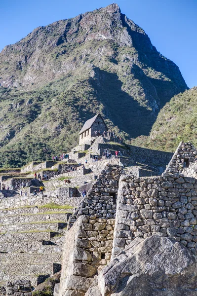 Machu Picchu, Aguas Calientes / Perú - circa junio 2015: Terrazas y Montana Machu Picchu pico en Perú — Foto de Stock
