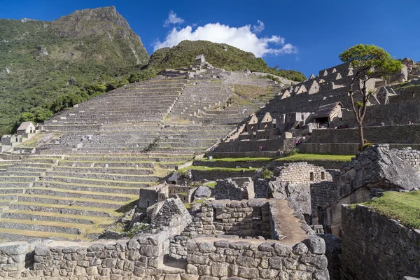 Terrazas de Machu Picchu sagrada ciudad perdida de Incas en Perú — Foto de Stock